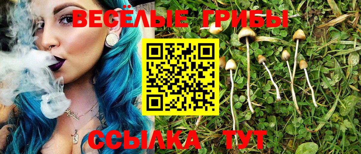 Галлюциногенные грибы MAGIC MUSHROOMS Краснознаменск