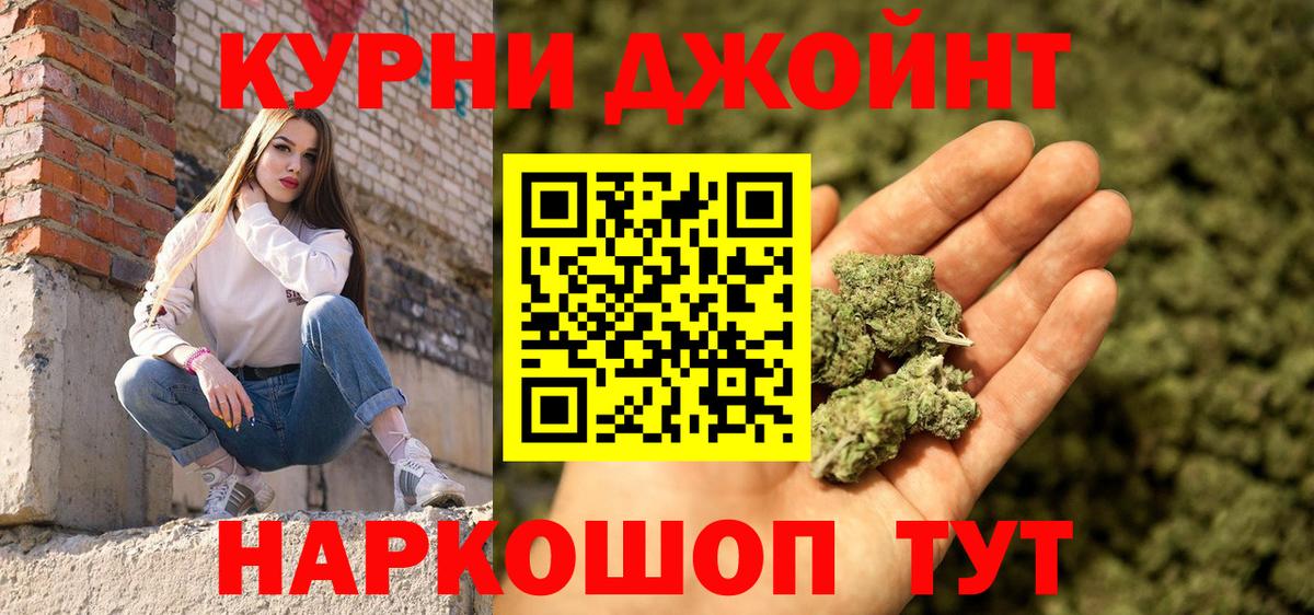 Каннабис планчик Краснознаменск